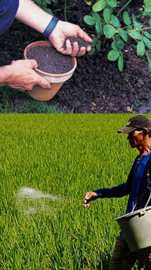 abono para planta y floracion